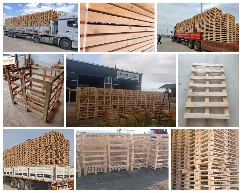 Koedijk Houten Kisten, Europallets Groothandel Kopen